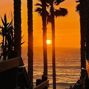 Meet your Posher, Deenya